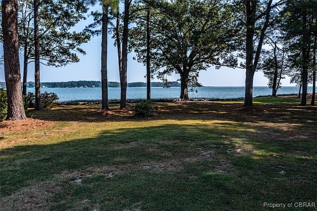 view of yard with a water view