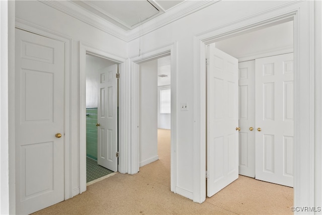 hallway with crown molding and light colored carpet