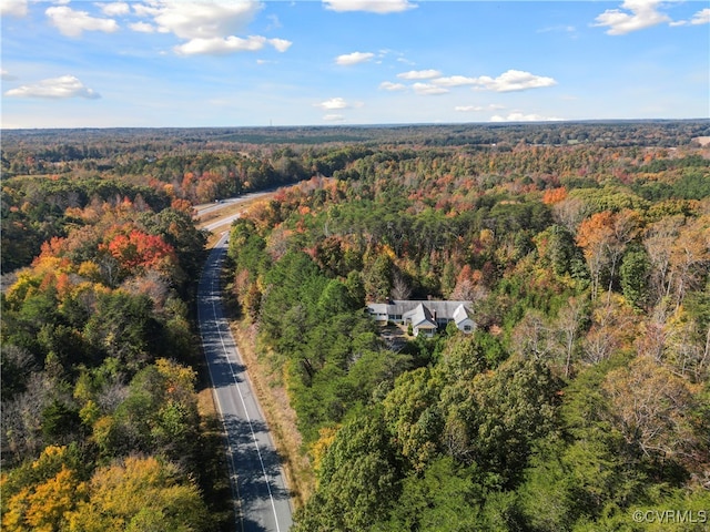 bird's eye view