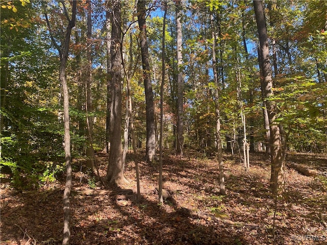 2415 Dorothea Ln, Crozier VA, 23102 land for sale