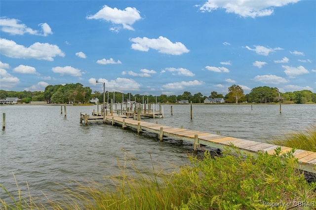 dock area with a water view