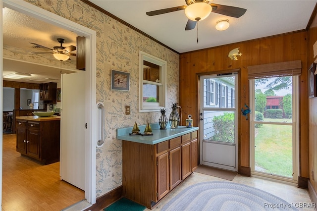 kitchen with ornamental molding, wooden walls, light hardwood / wood-style flooring, and ceiling fan