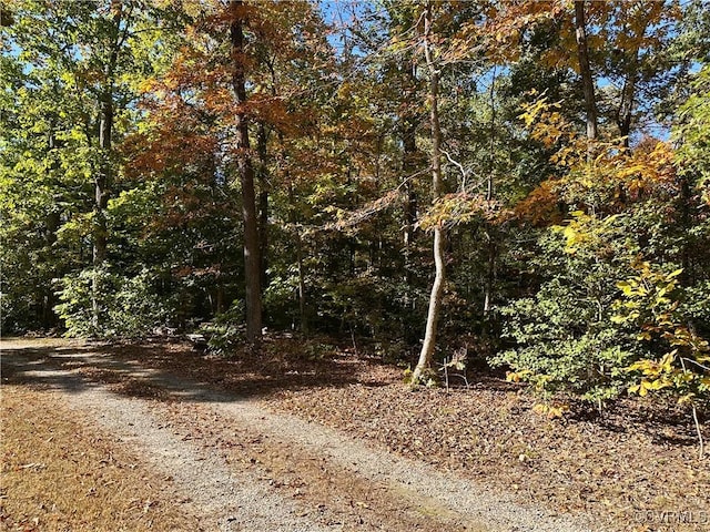 view of road featuring a forest view