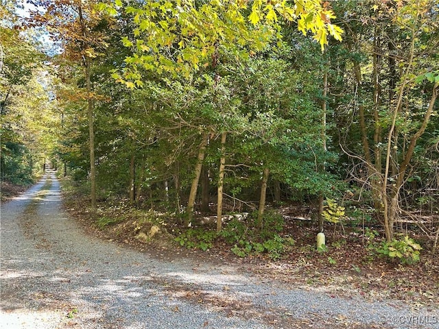 view of landscape featuring a wooded view