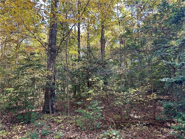 view of local wilderness featuring a forest view