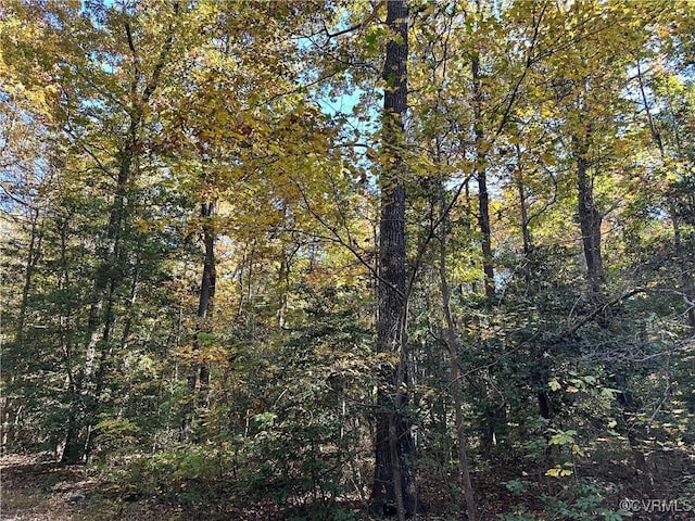 view of local wilderness with a view of trees