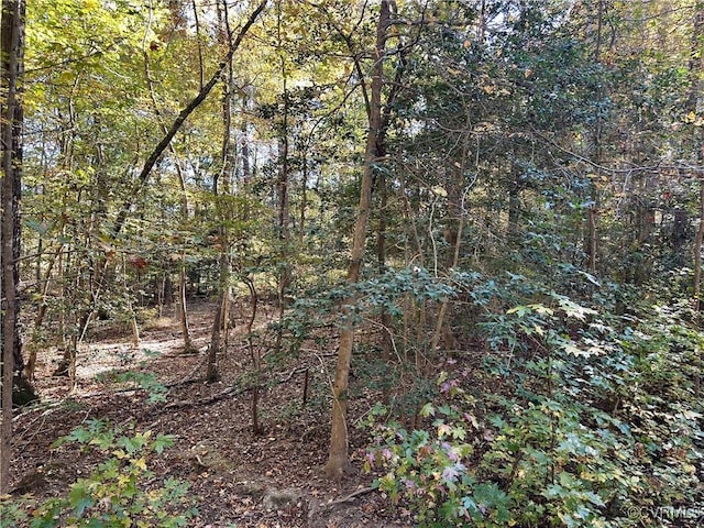 view of nature with a forest view