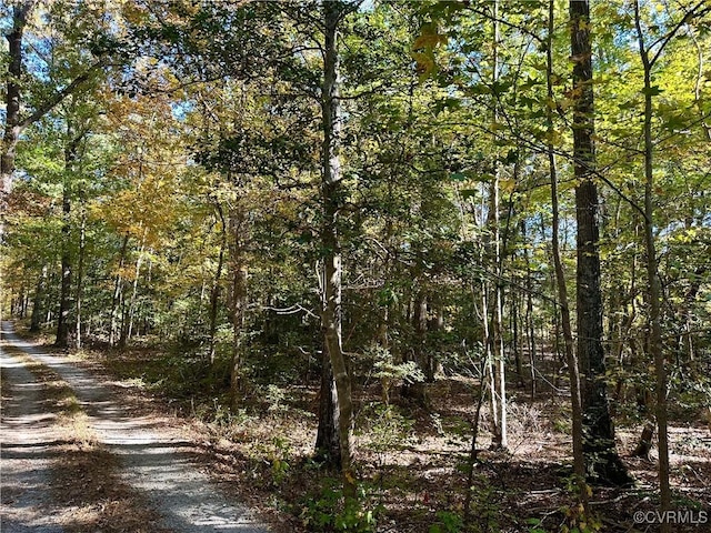 view of landscape featuring a view of trees