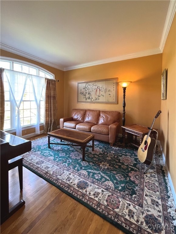 living room featuring ornamental molding and hardwood / wood-style floors