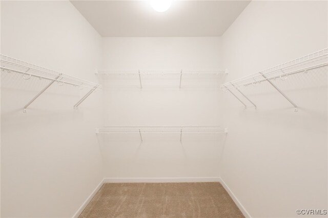 walk in closet with light colored carpet