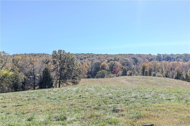 view of local wilderness featuring a rural view