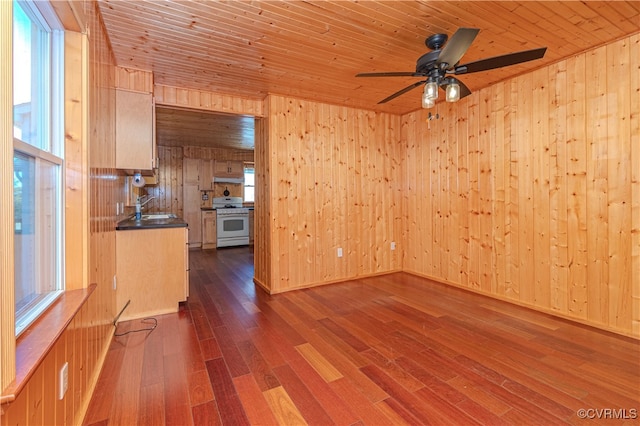 empty room featuring sink, wooden walls, and dark hardwood / wood-style floors