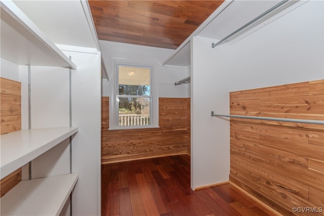 spacious closet with wood-type flooring