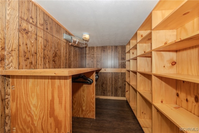 spacious closet featuring dark hardwood / wood-style floors