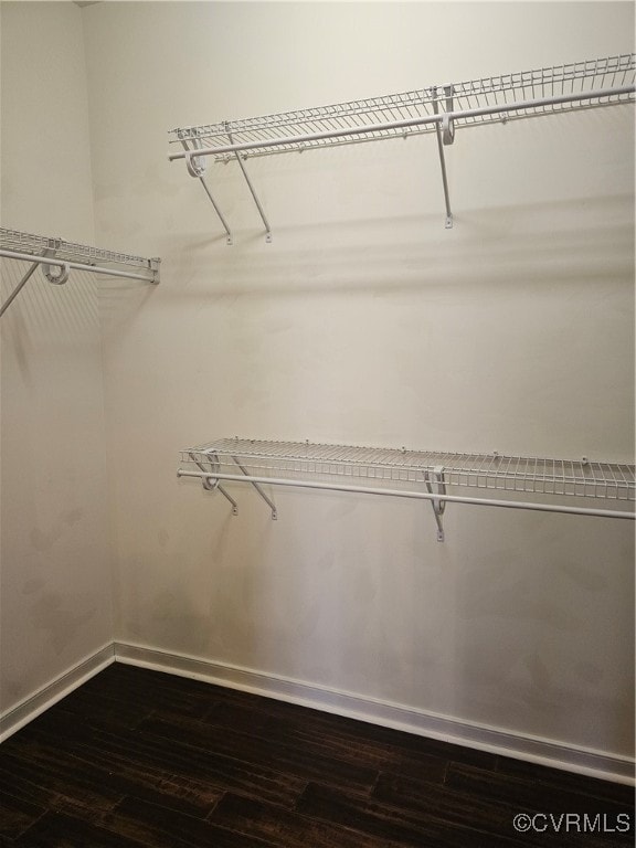 spacious closet featuring hardwood / wood-style floors