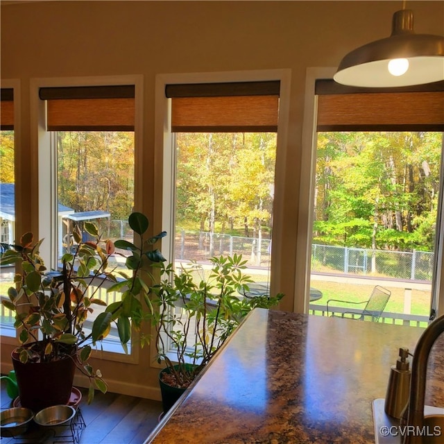 dining area featuring hardwood / wood-style floors and a healthy amount of sunlight