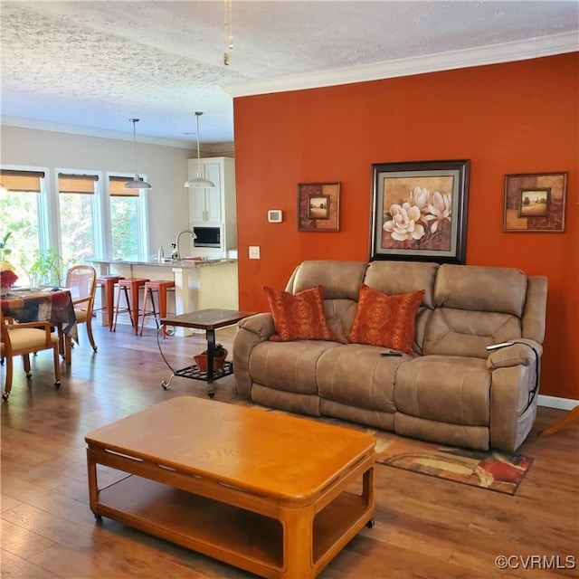 living room with crown molding, a textured ceiling, and wood-type flooring