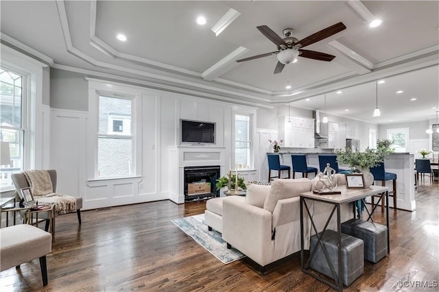 living room featuring ceiling fan, ornamental molding, and dark hardwood / wood-style floors