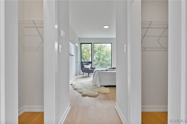 spacious closet featuring light hardwood / wood-style floors