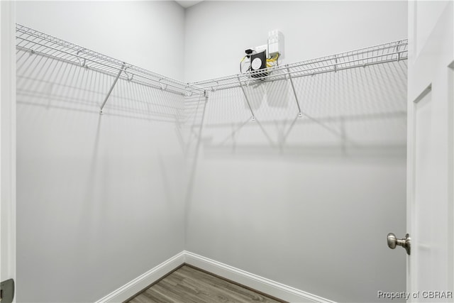 spacious closet featuring hardwood / wood-style floors