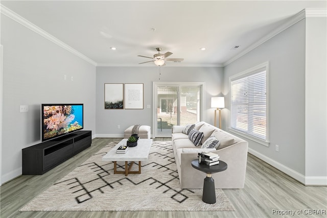 living room with ceiling fan, crown molding, and light wood-type flooring