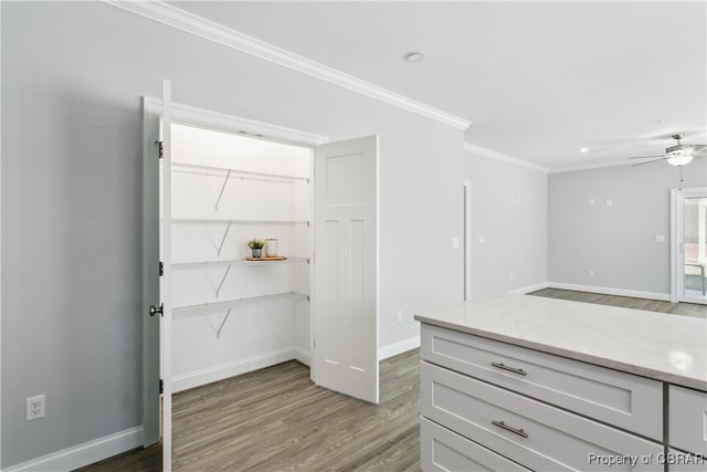 walk in closet with ceiling fan and wood-type flooring