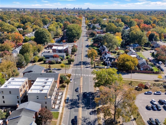 bird's eye view