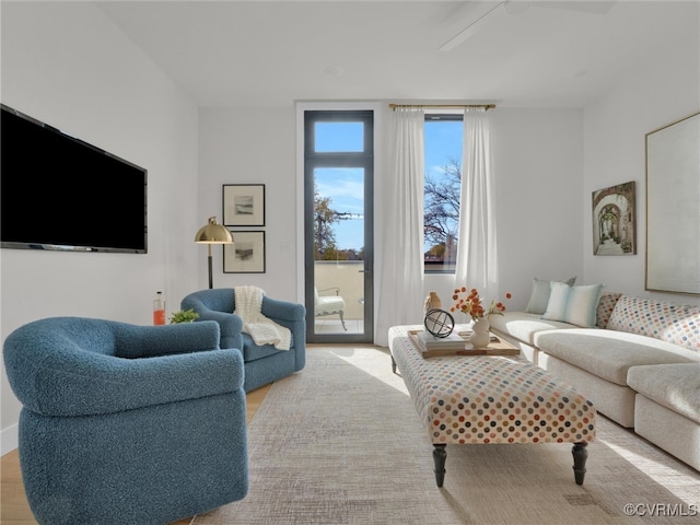 living room featuring light hardwood / wood-style floors