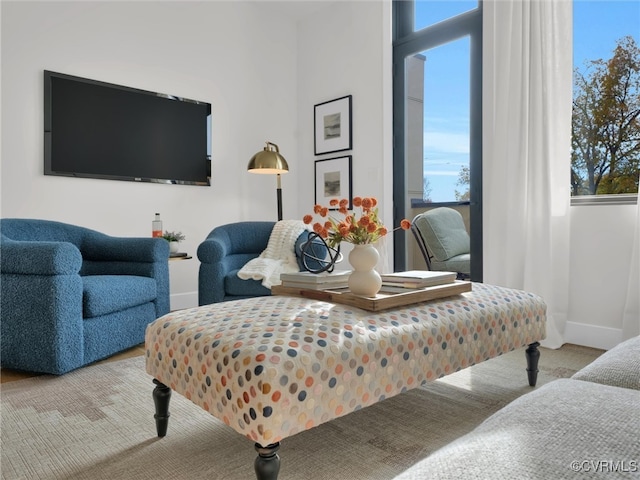 living room featuring light colored carpet