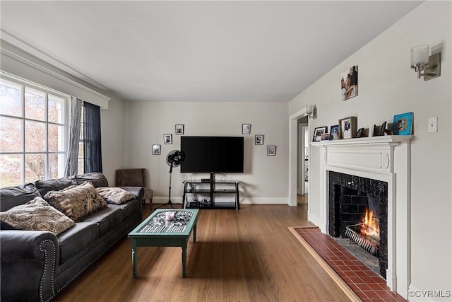 living room featuring a fireplace and wood-type flooring