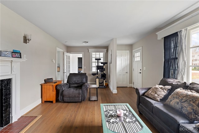 living room featuring hardwood / wood-style floors