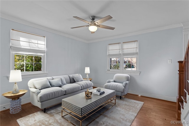 living room with ceiling fan, ornamental molding, and wood-type flooring