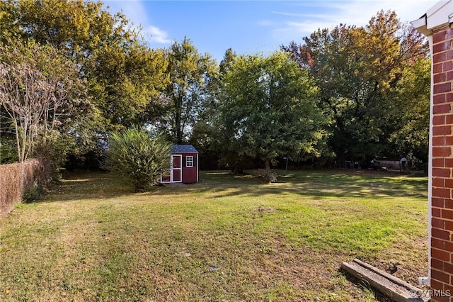 view of yard featuring a storage shed