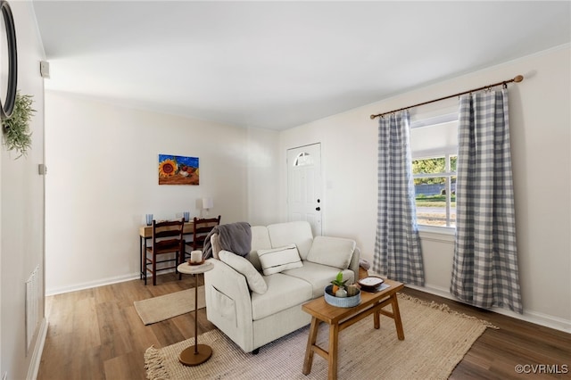 living room with hardwood / wood-style flooring