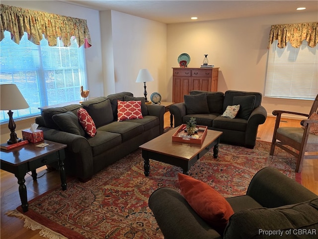 living room featuring wood-type flooring