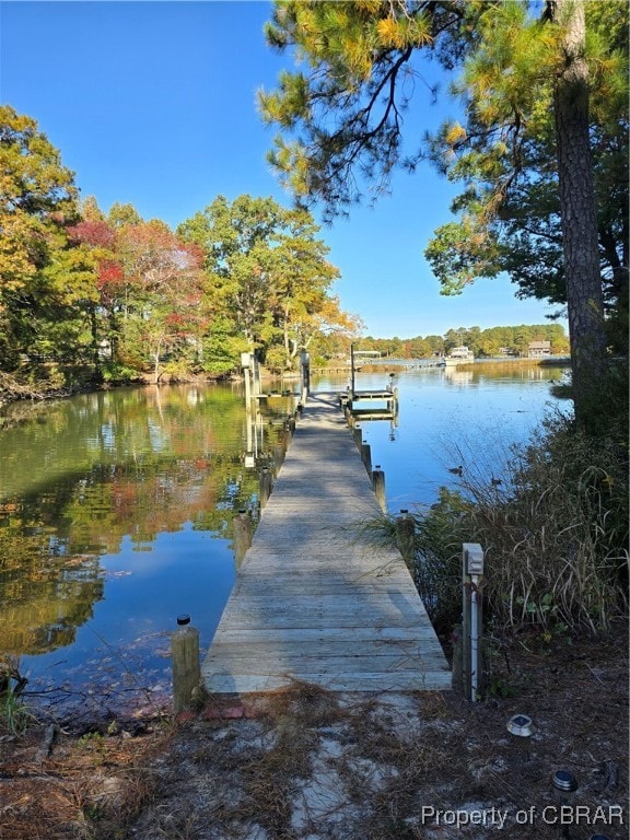 dock area with a water view