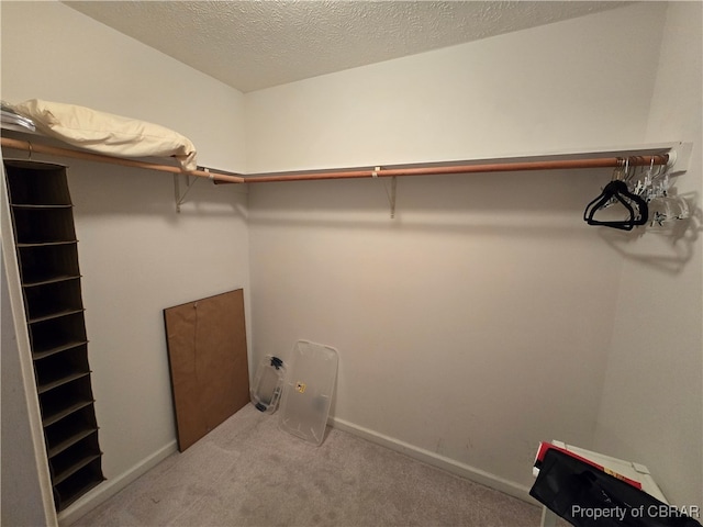 walk in closet featuring carpet floors