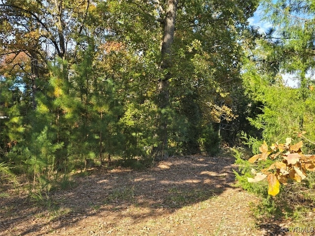 view of local wilderness