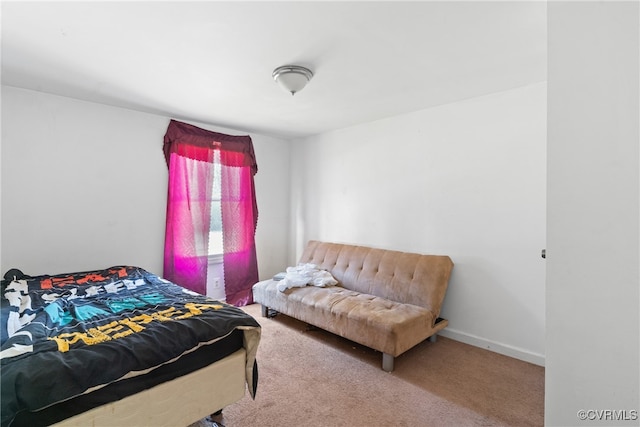 bedroom featuring carpet