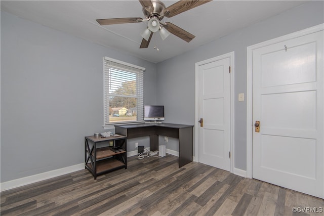 office area featuring dark hardwood / wood-style flooring and ceiling fan