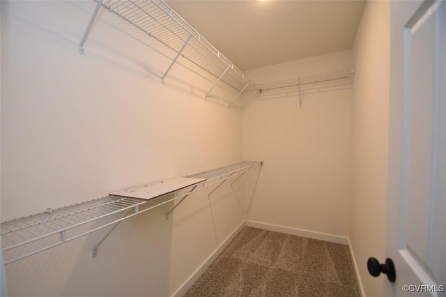 walk in closet with carpet