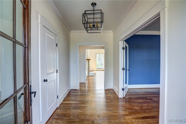 corridor featuring crown molding, a notable chandelier, and dark hardwood / wood-style flooring