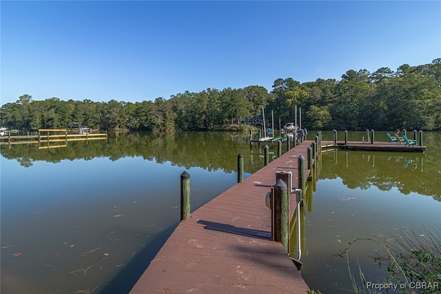 dock area featuring a water view