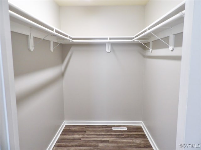 spacious closet with dark wood-type flooring