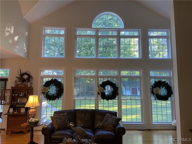 living room with hardwood / wood-style flooring and high vaulted ceiling