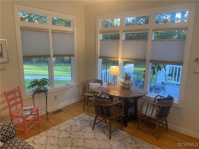 dining area with hardwood / wood-style flooring