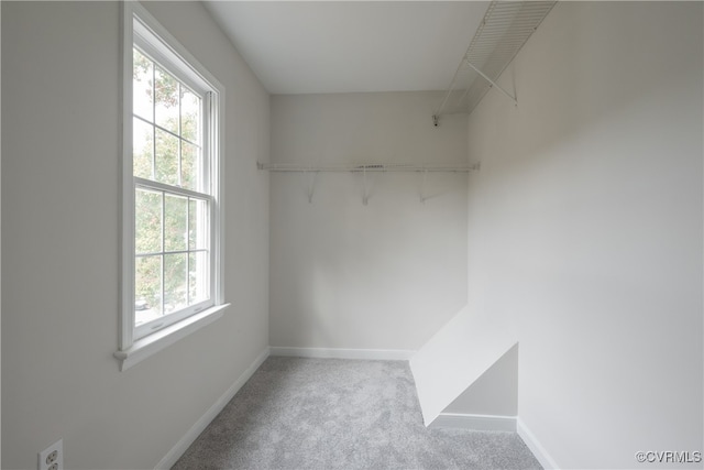 walk in closet with light colored carpet