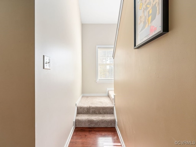 stairs featuring wood-type flooring