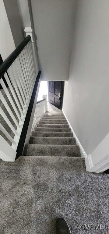 stairs with carpet floors