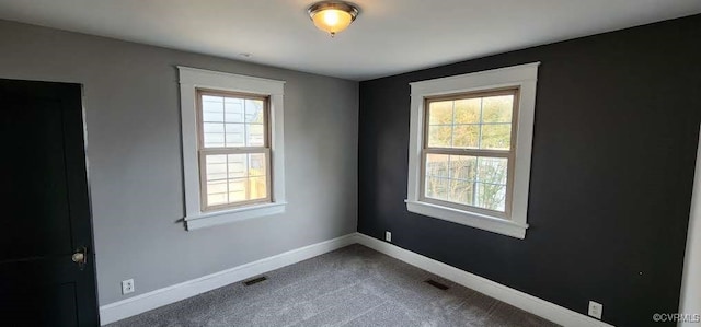 carpeted empty room featuring a wealth of natural light